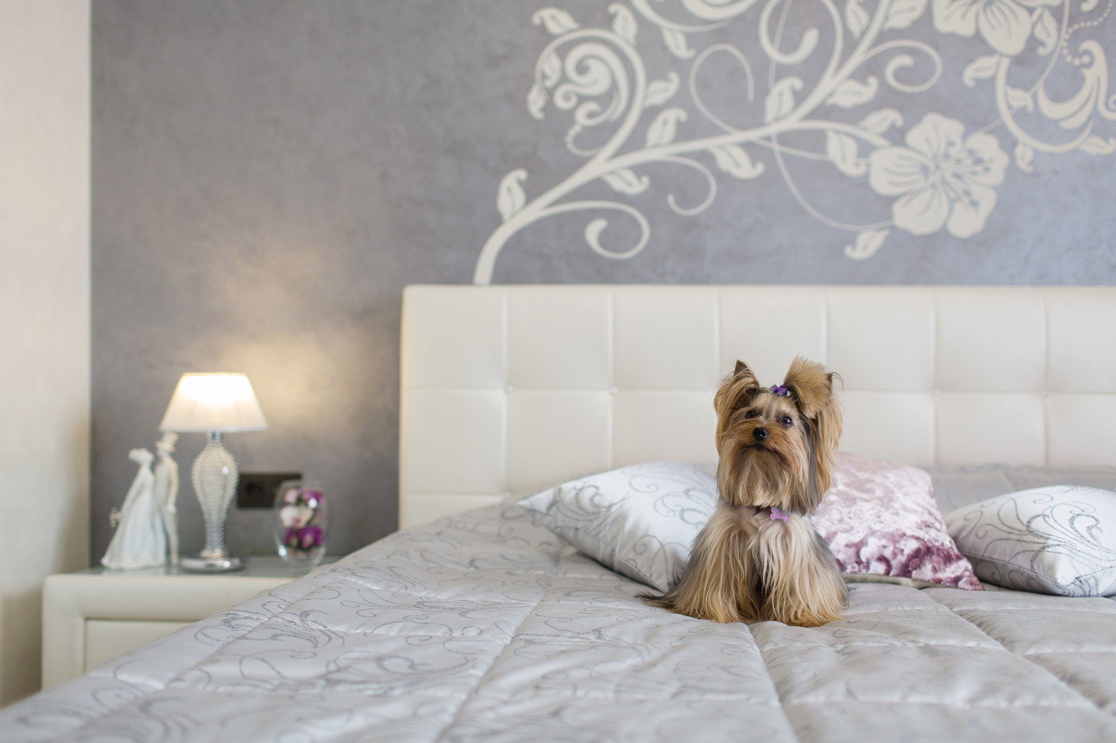 Графическая эстетика