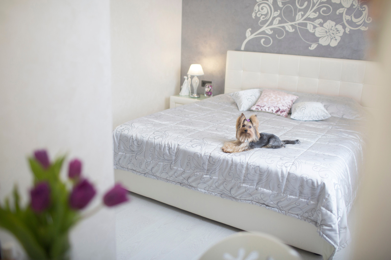 Графическая эстетика