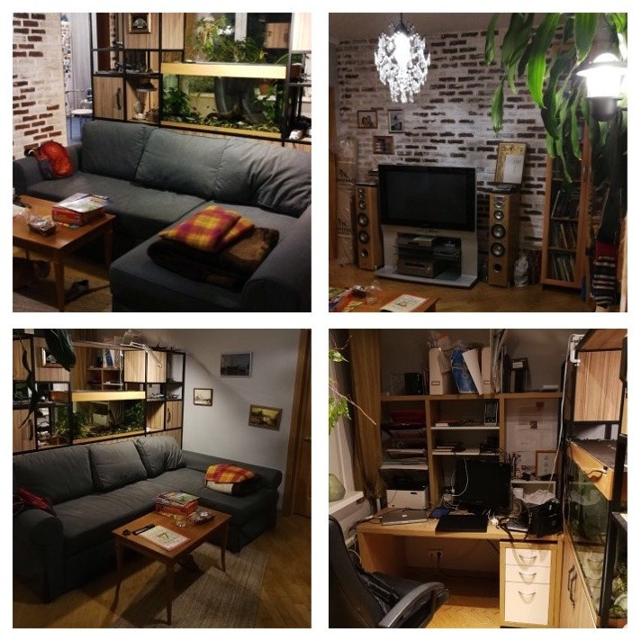Loft в гостиной с аквариумом и кабинетом