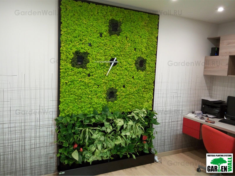 Совмещение стабилизированных растений с живыми в квартире