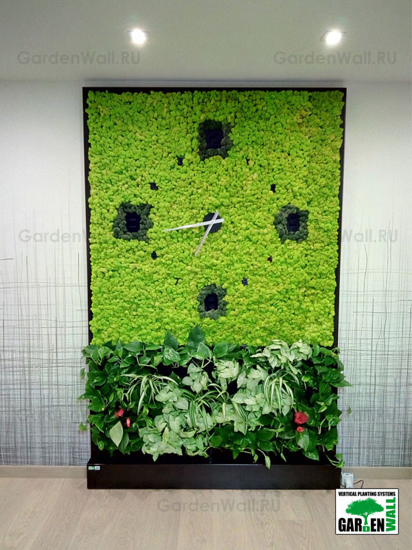 Совмещение стабилизированных растений с живыми в квартире