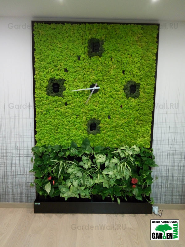 Совмещение стабилизированных растений с живыми в квартире