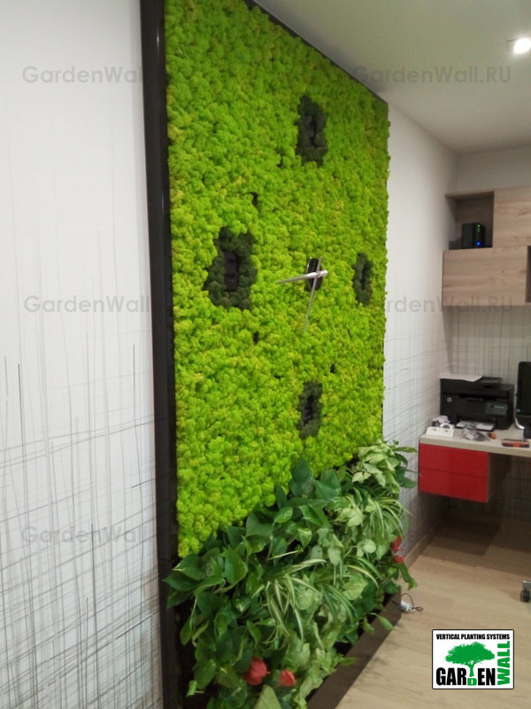 Совмещение стабилизированных растений с живыми в квартире