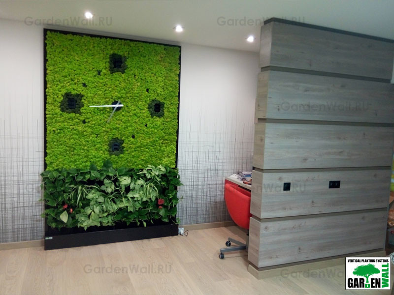 Совмещение стабилизированных растений с живыми в квартире