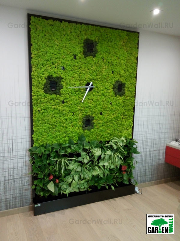 Обложка проекта: Совмещение стабилизированных растений с живыми в квартире