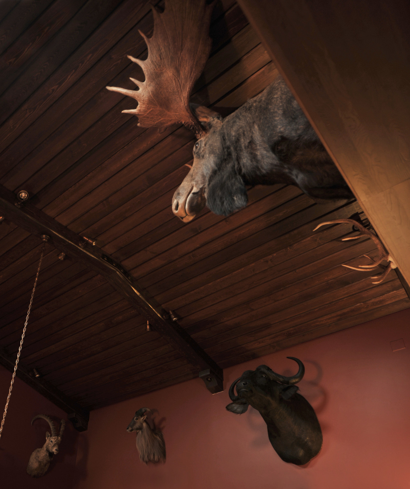 Дом в Погорелках