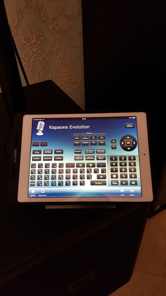 Профессиональное караоке в частном доме