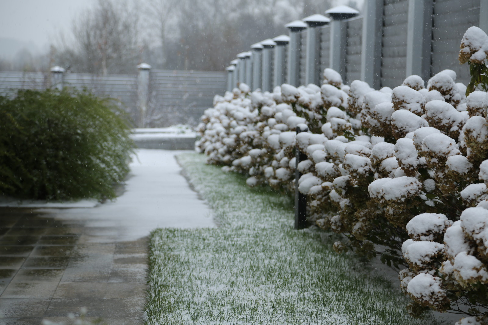 Перспектива