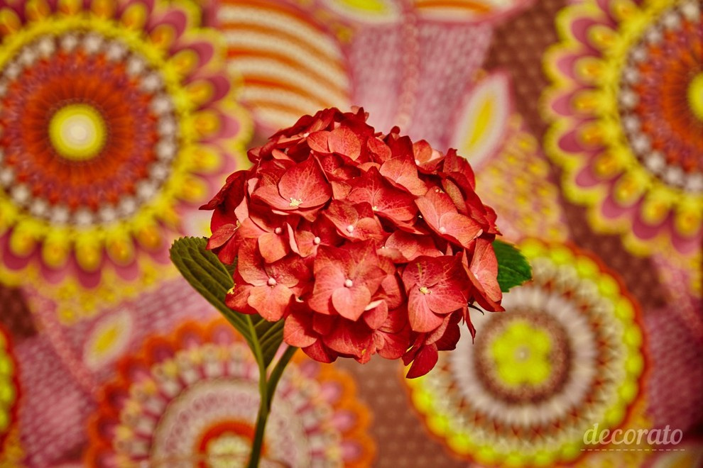 Весна на оптиков