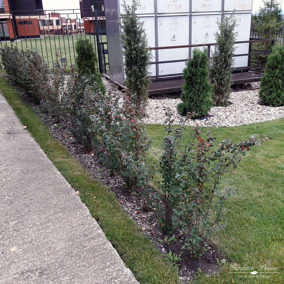 Обложка проекта: Посадка растений в КП "Клены", Ленинский р-н МО