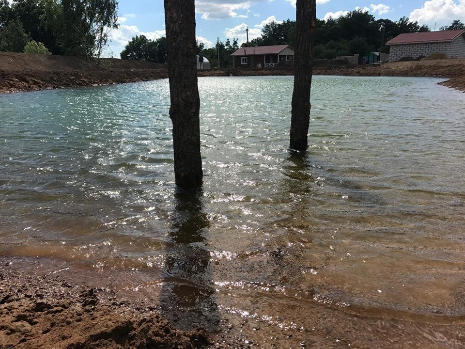 Обложка проекта: Пруды