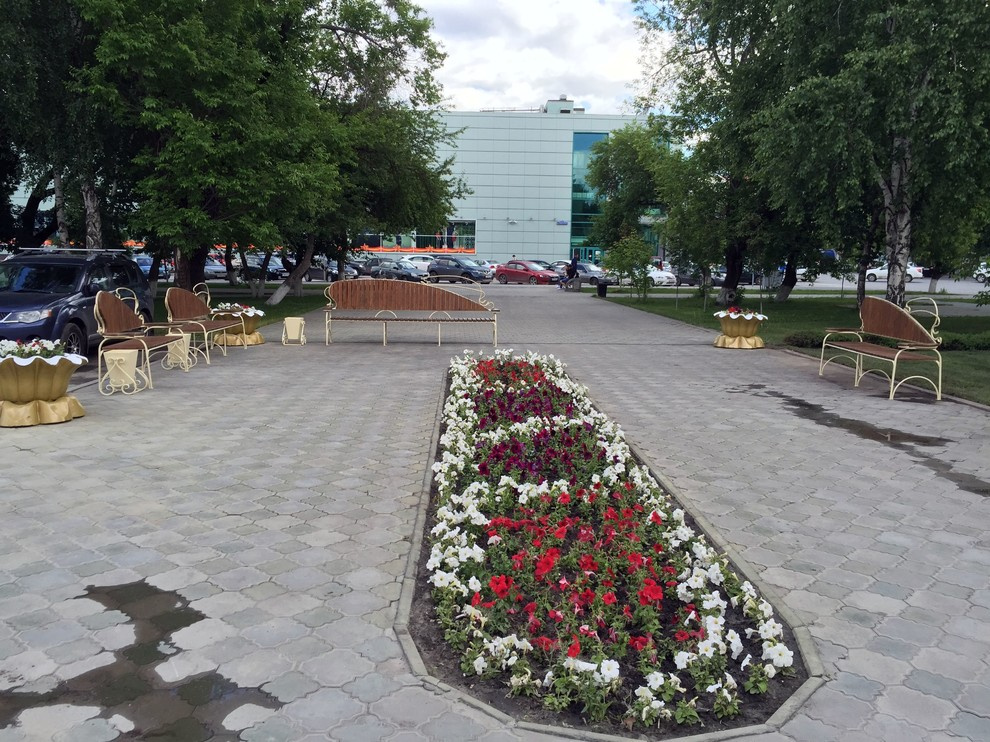 Городское озеленение