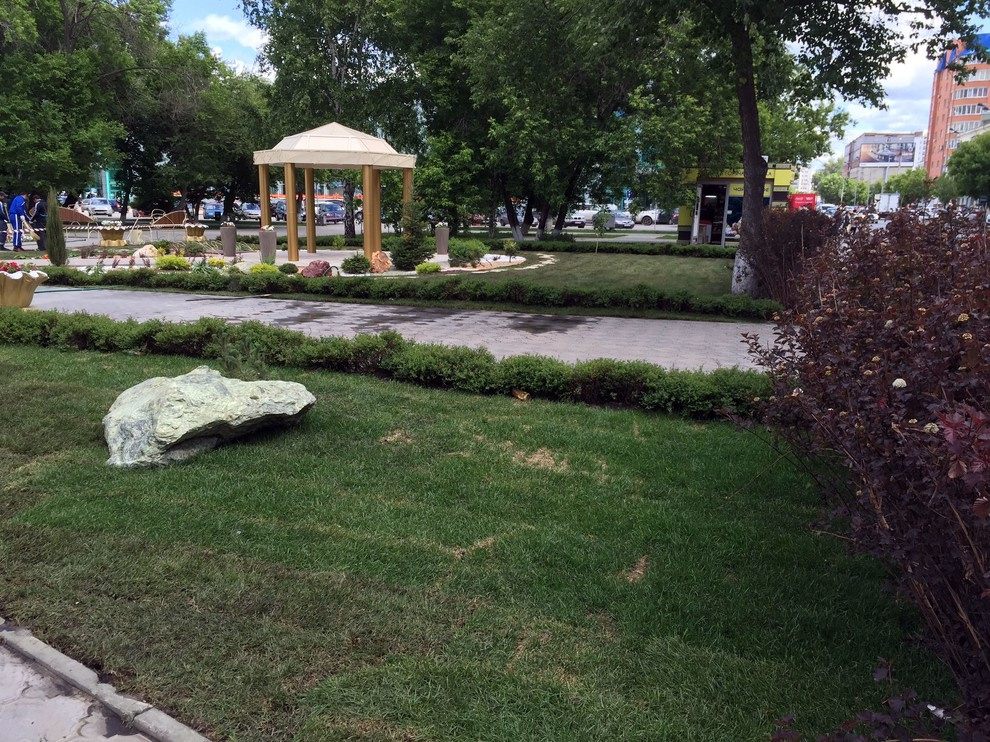 Городское озеленение