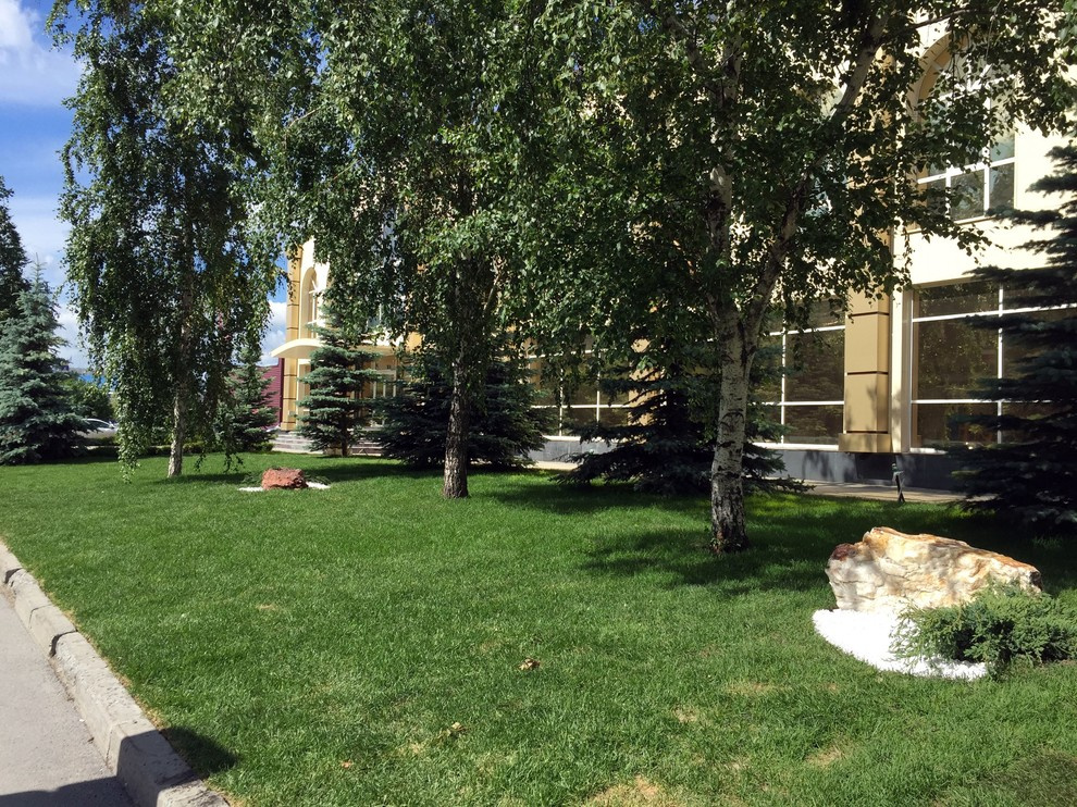 Городское озеленение