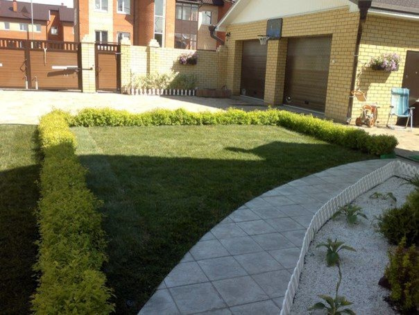 Озеленение придомовой территории (Цимлянское)