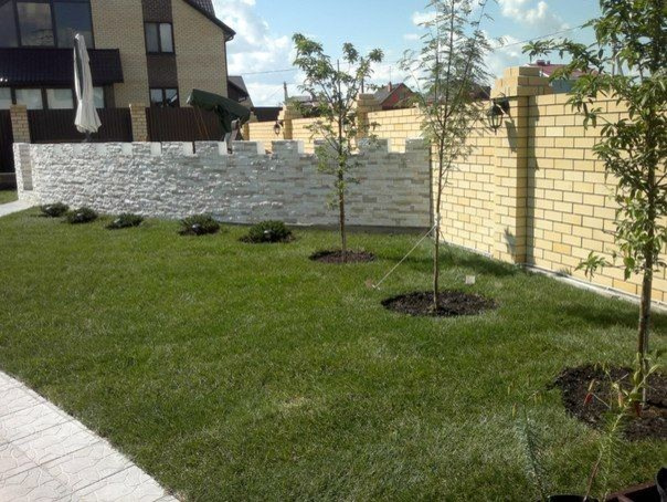 Озеленение придомовой территории (Цимлянское)