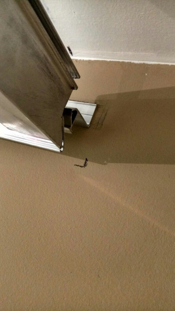 Квартира с интересными задумками по потолкам.