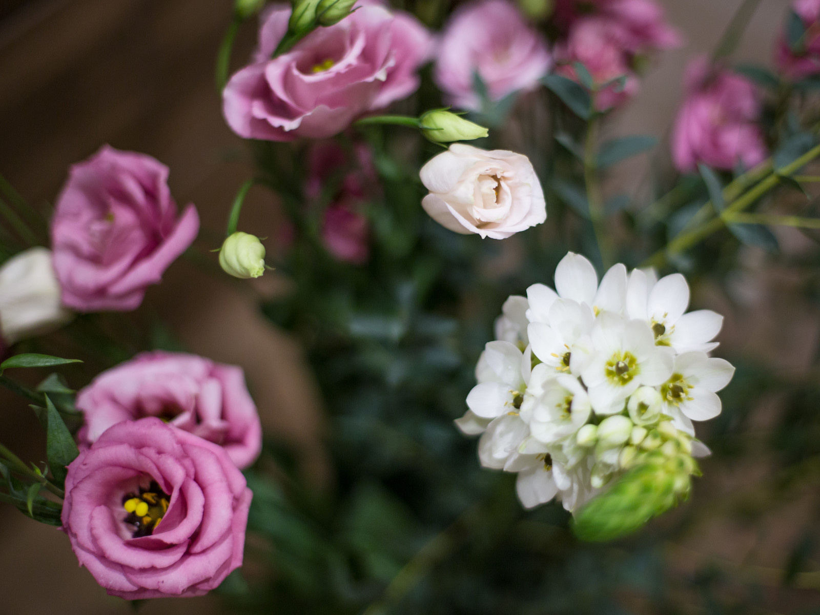 1-комн.квартира в Колпино