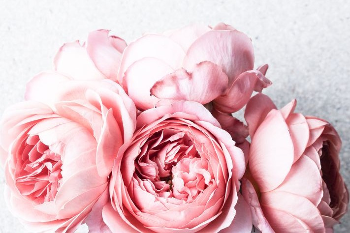 Обложка проекта: фото для профиля