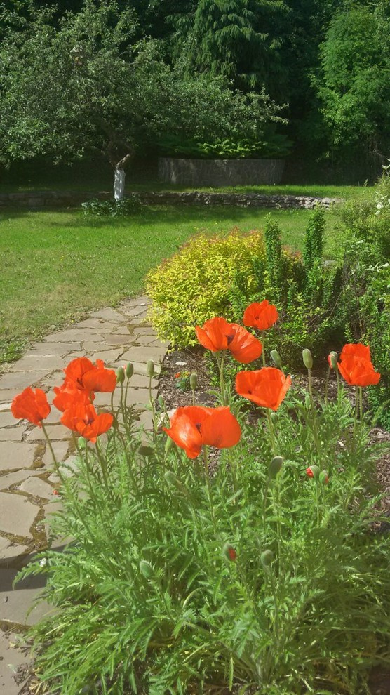 Фотографии готовых садов