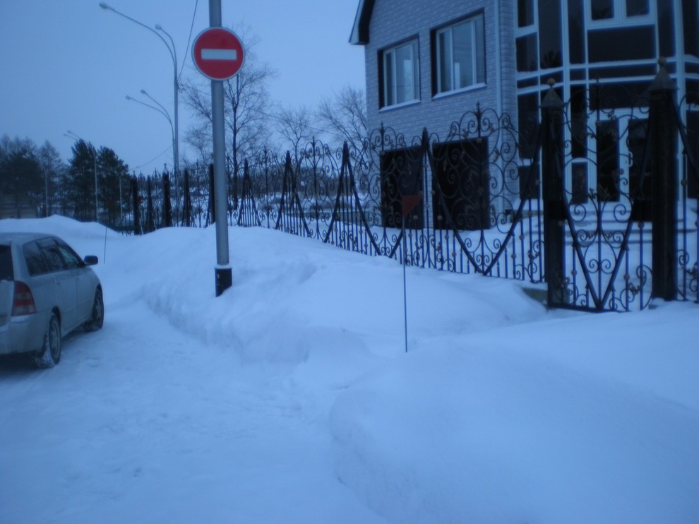 Самонесущий кованый забор