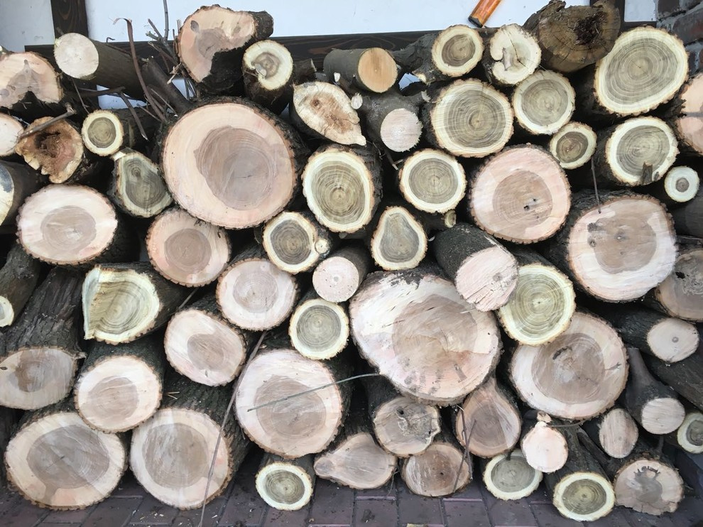 Обложка проекта: Столярка