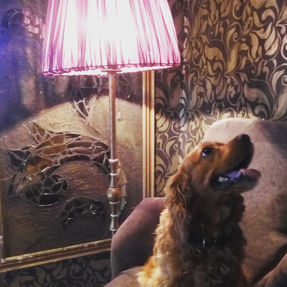 Обложка проекта: Домашний декор