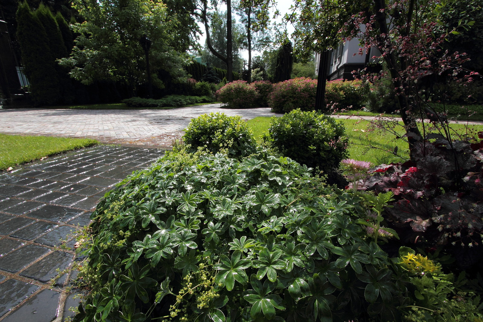 Санкт-Петербург