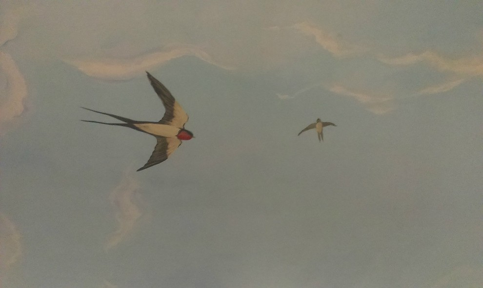 художник дизайнер