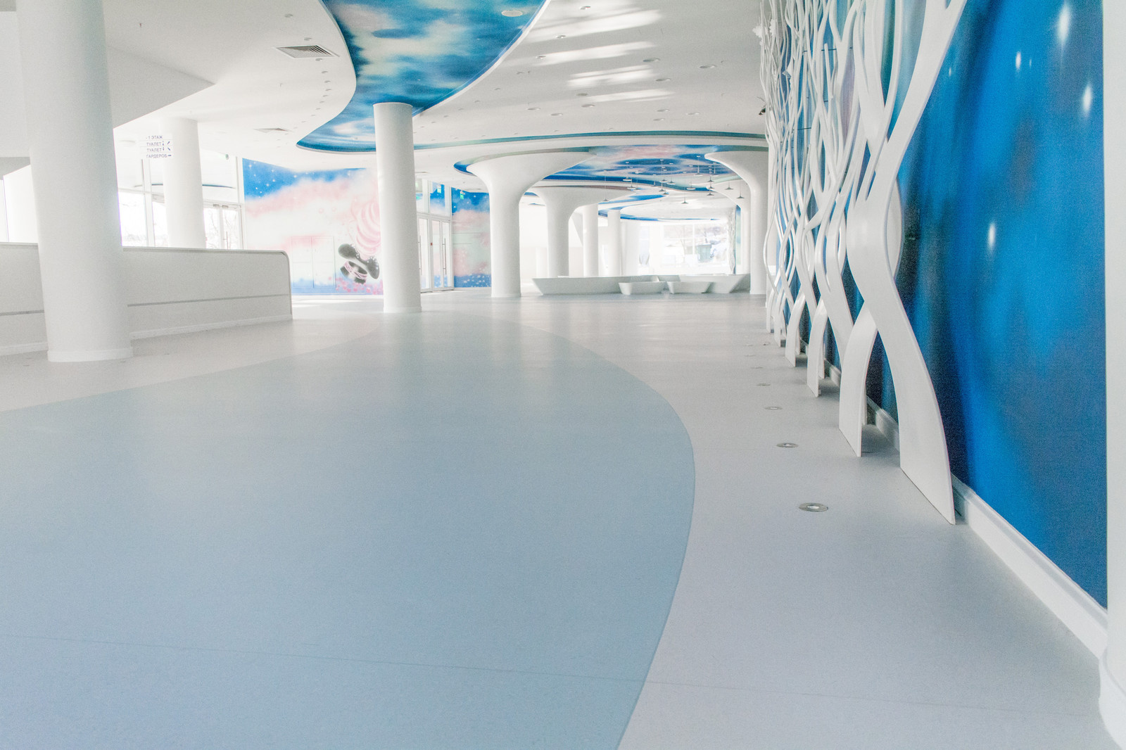 Поставка и укладка напольных покрытий: Владивостокский государственный цирк