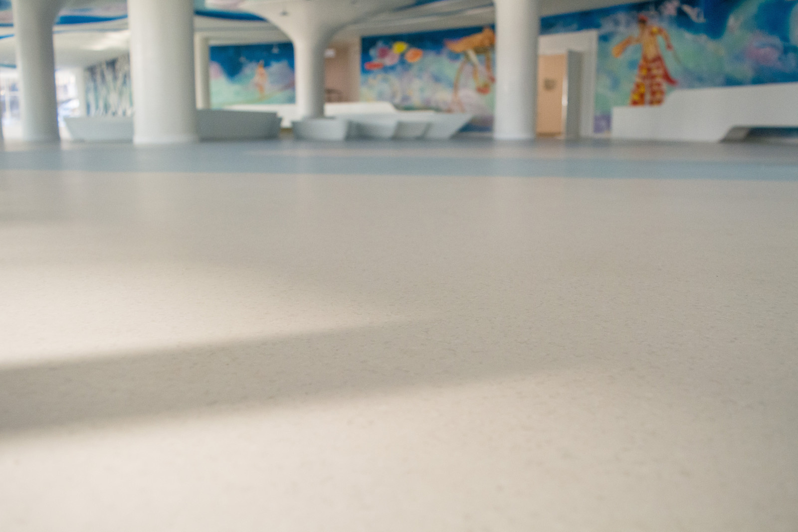 Поставка и укладка напольных покрытий: Владивостокский государственный цирк