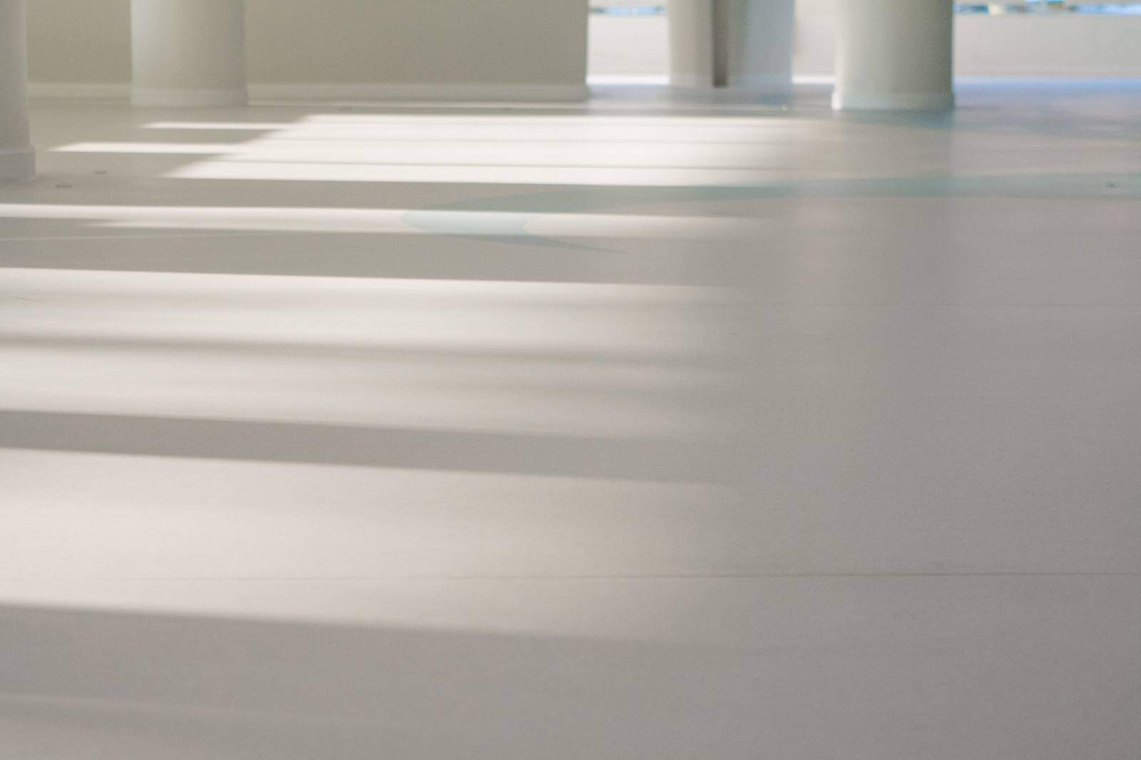 Поставка и укладка напольных покрытий: Владивостокский государственный цирк