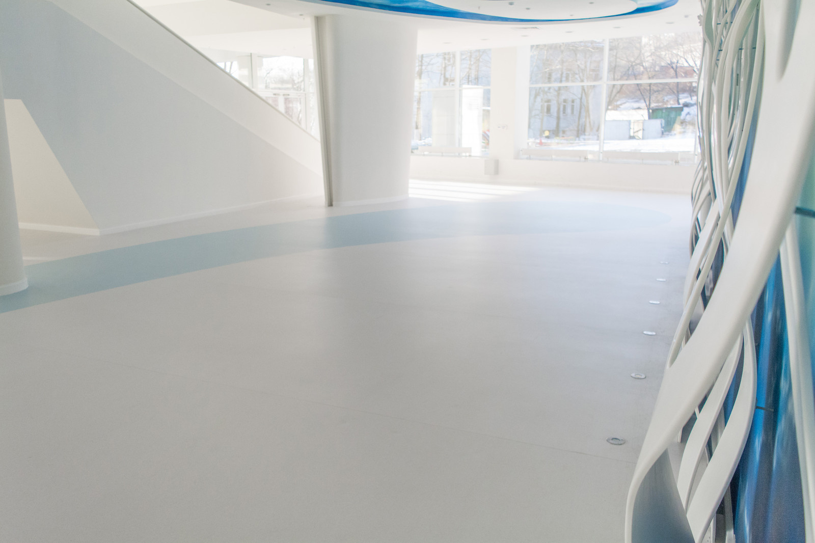 Обложка проекта: Владивостокский государственный цирк