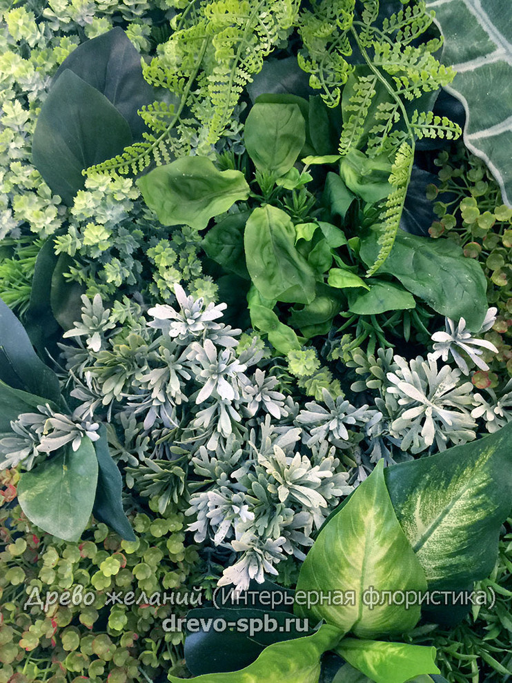 Фитостены,вертикальное озеленение