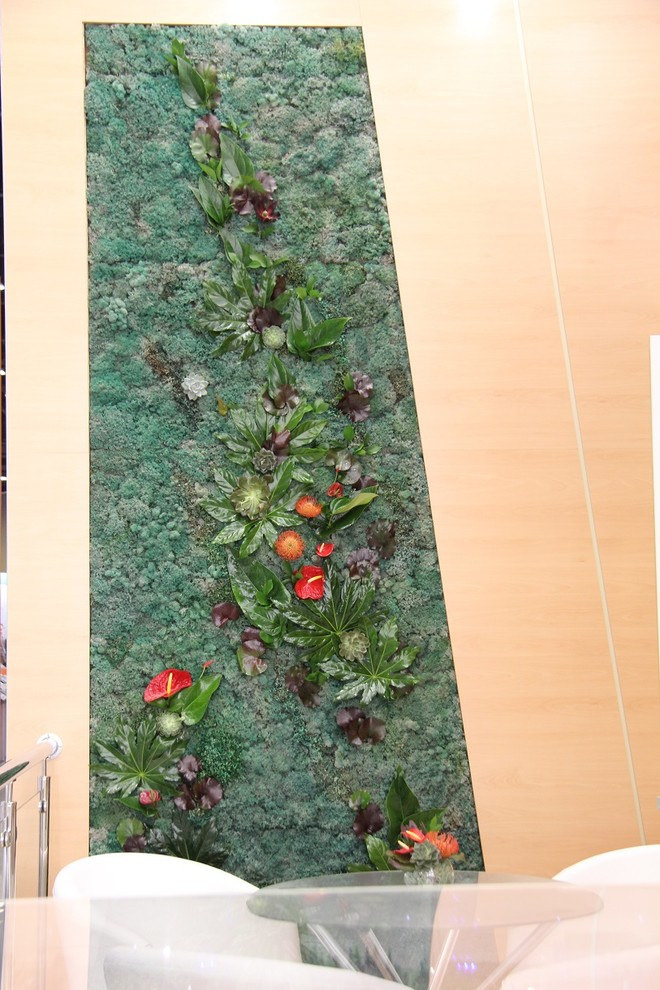 Фитостены,вертикальное озеленение