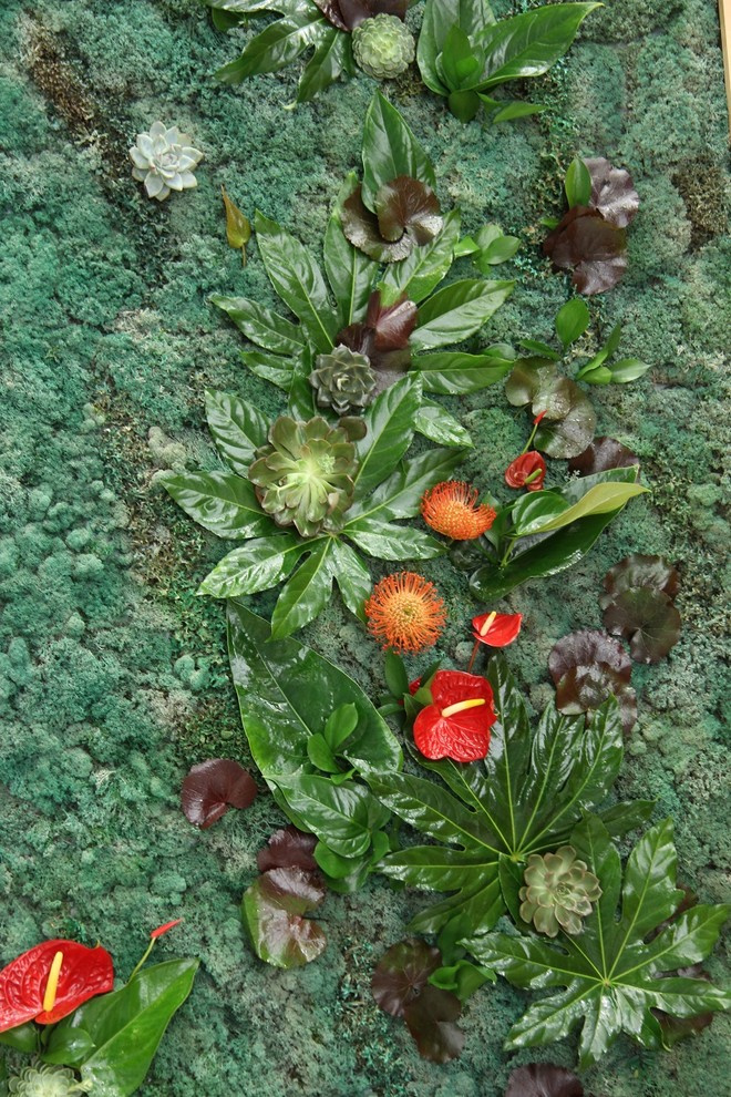 Фитостены,вертикальное озеленение