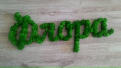 стабилизированный мох