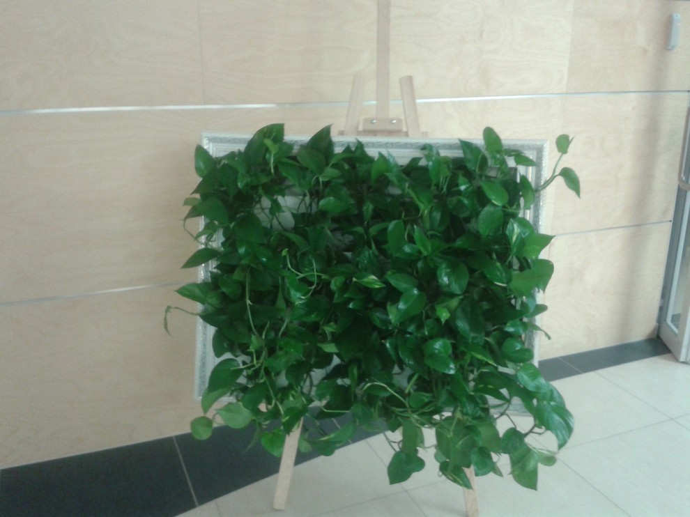 Живое пространство (наши работы)