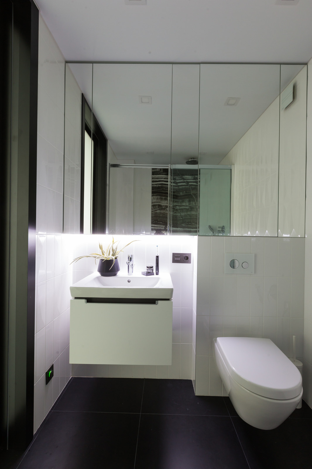 АПАРТАМЕНТЫ В ЧЕРНО-БЕЛЫХ ТОНАХ