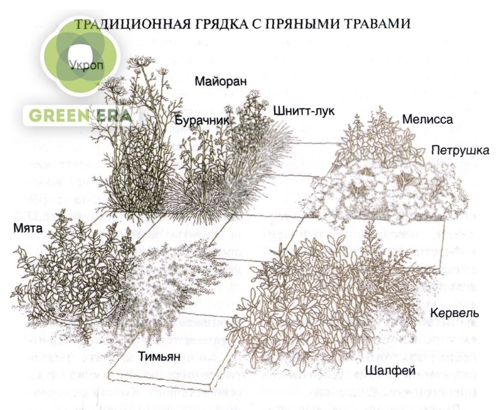 Ландшафтный дизайн