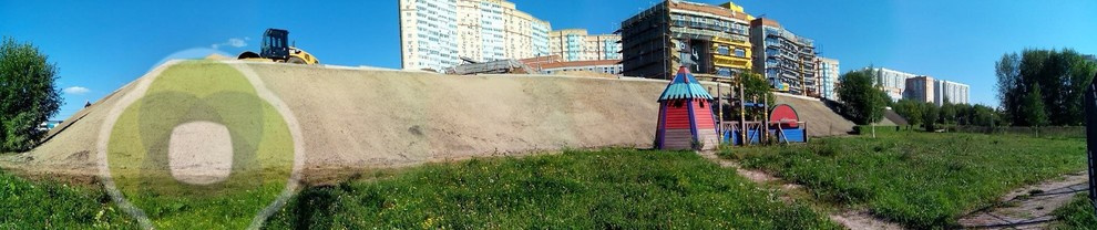 Городское озеленение