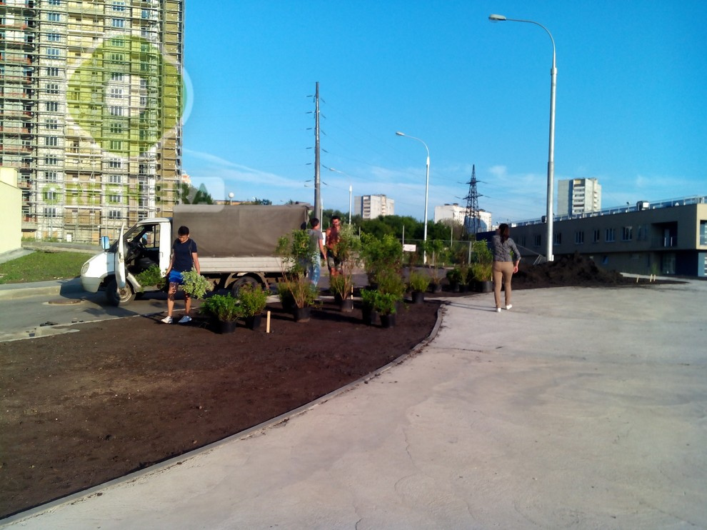 Городское озеленение