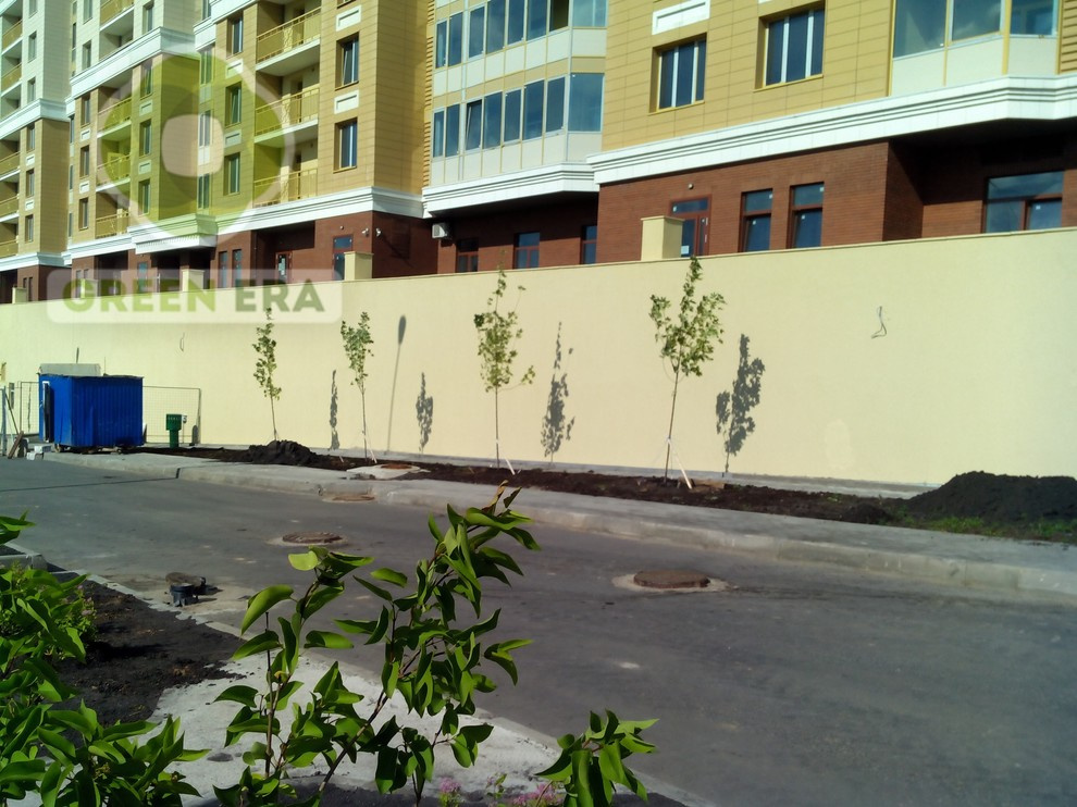 Городское озеленение