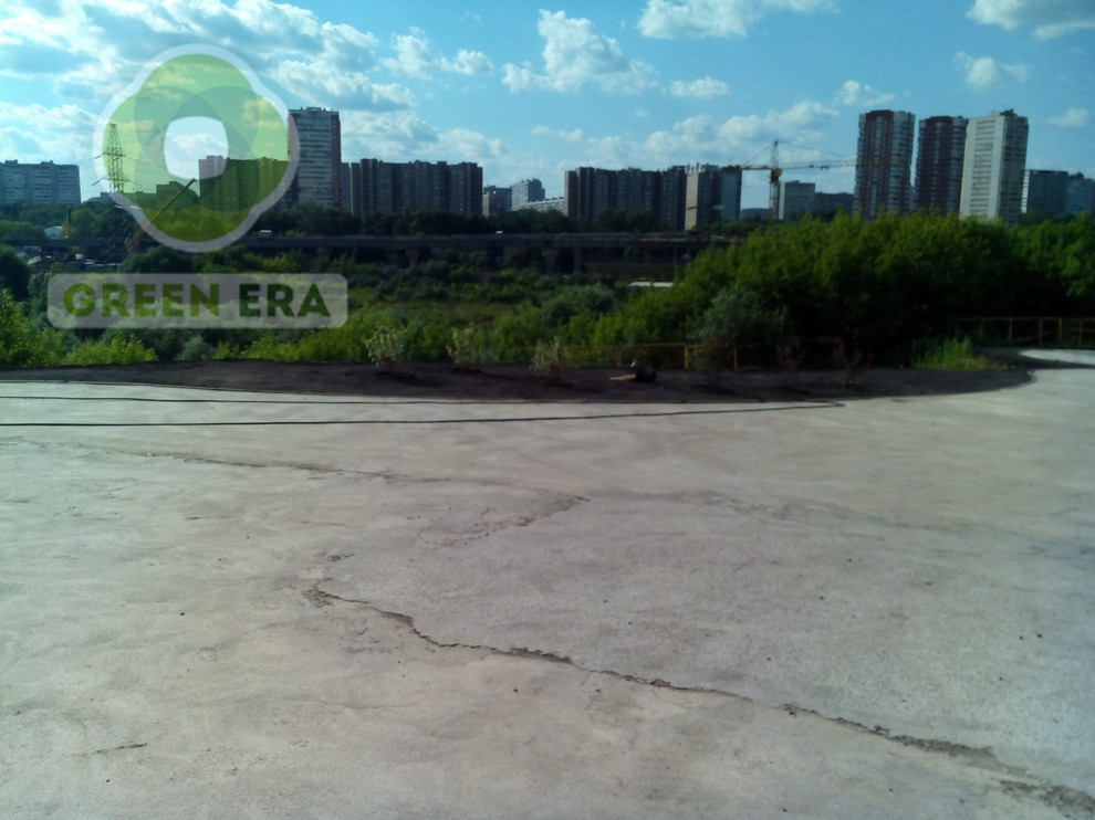 Городское озеленение