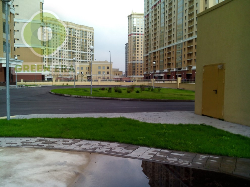 Городское озеленение