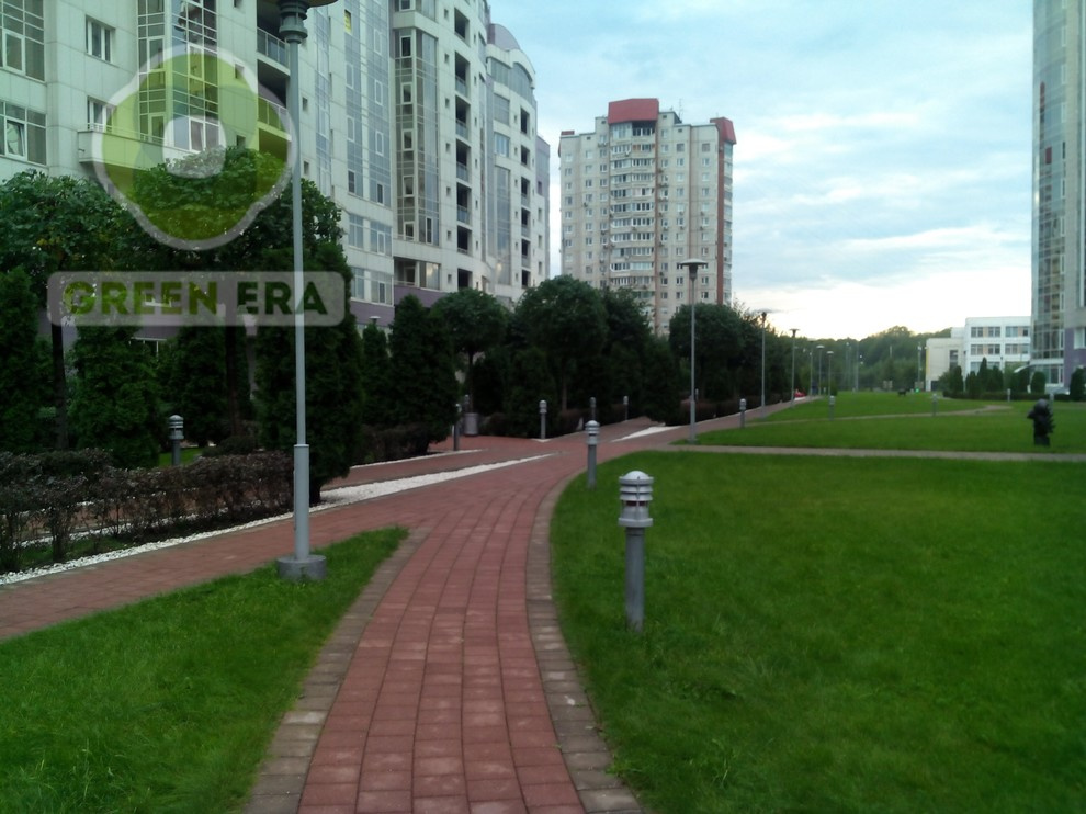 Городское озеленение