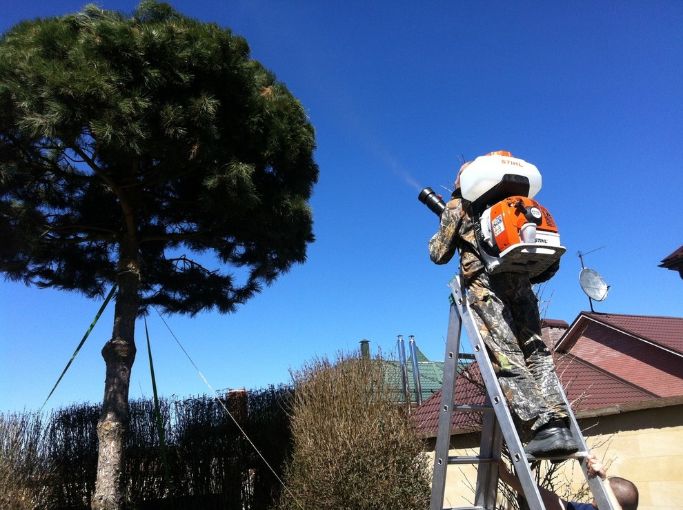 Уход за садом и защита растений