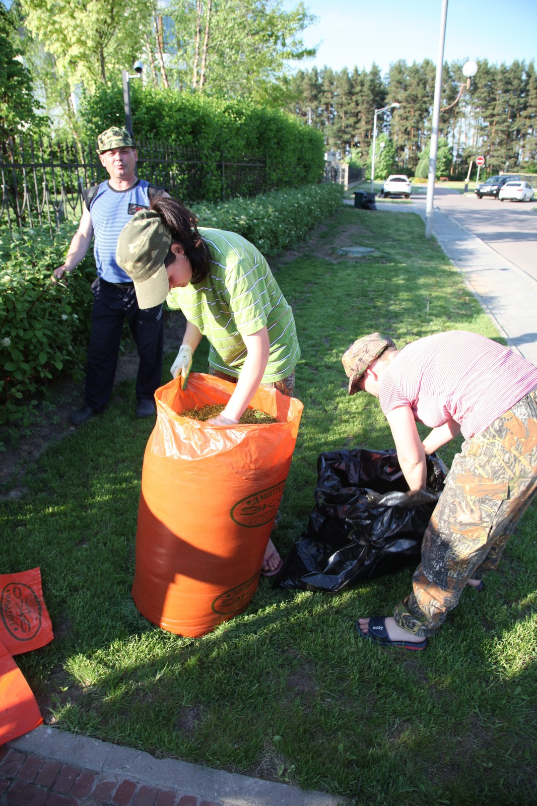 Уход за садом и защита растений