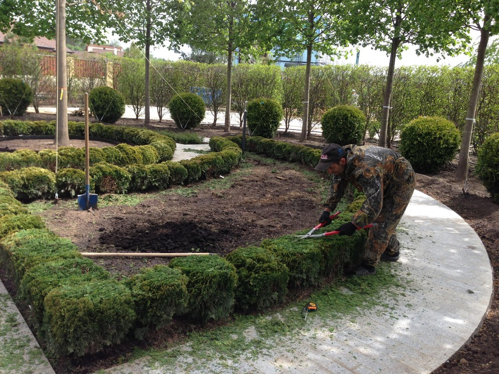 Уход за садом и защита растений