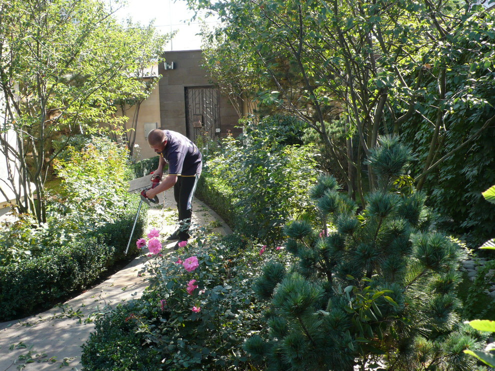 Уход за садом и защита растений